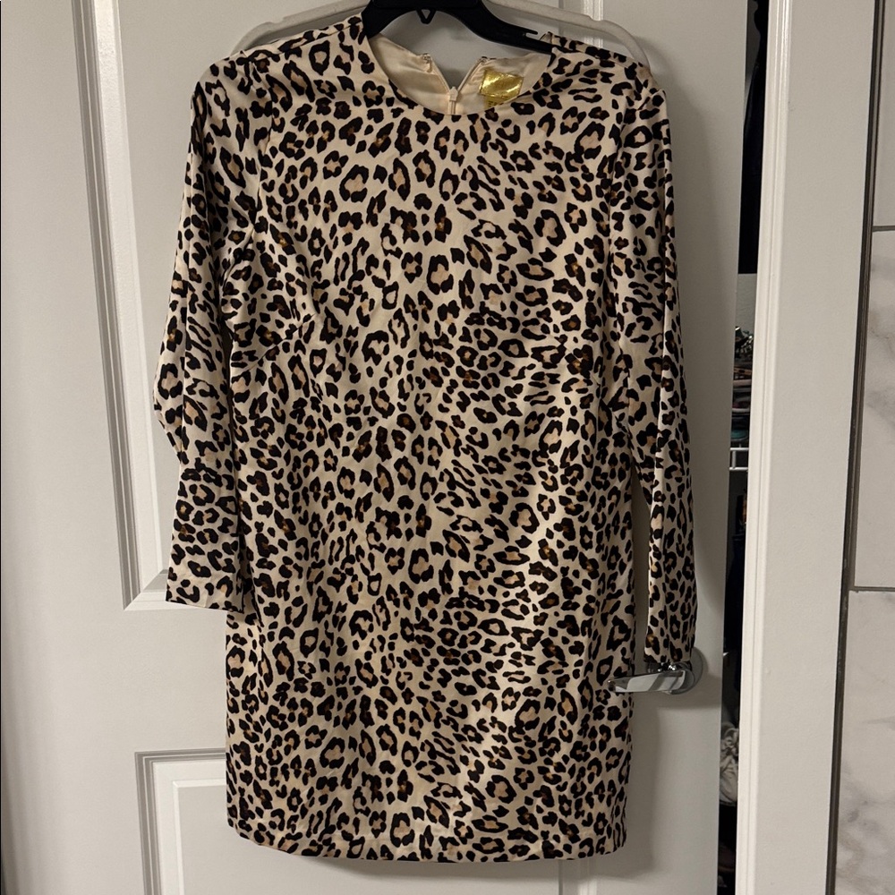 H&M Leopard Print Long Sleeve Dress